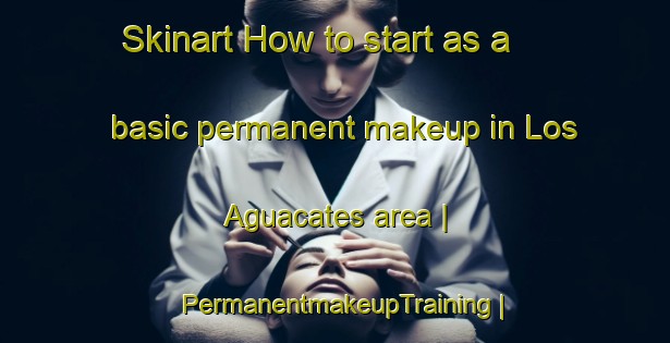 Skinart How to start as a basic permanent makeup in Los Aguacates area | PermanentmakeupTraining | PermanentmakeupClasses | SkinartTraining-Mexico